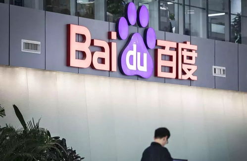 蜘蛛池强引开多少合适